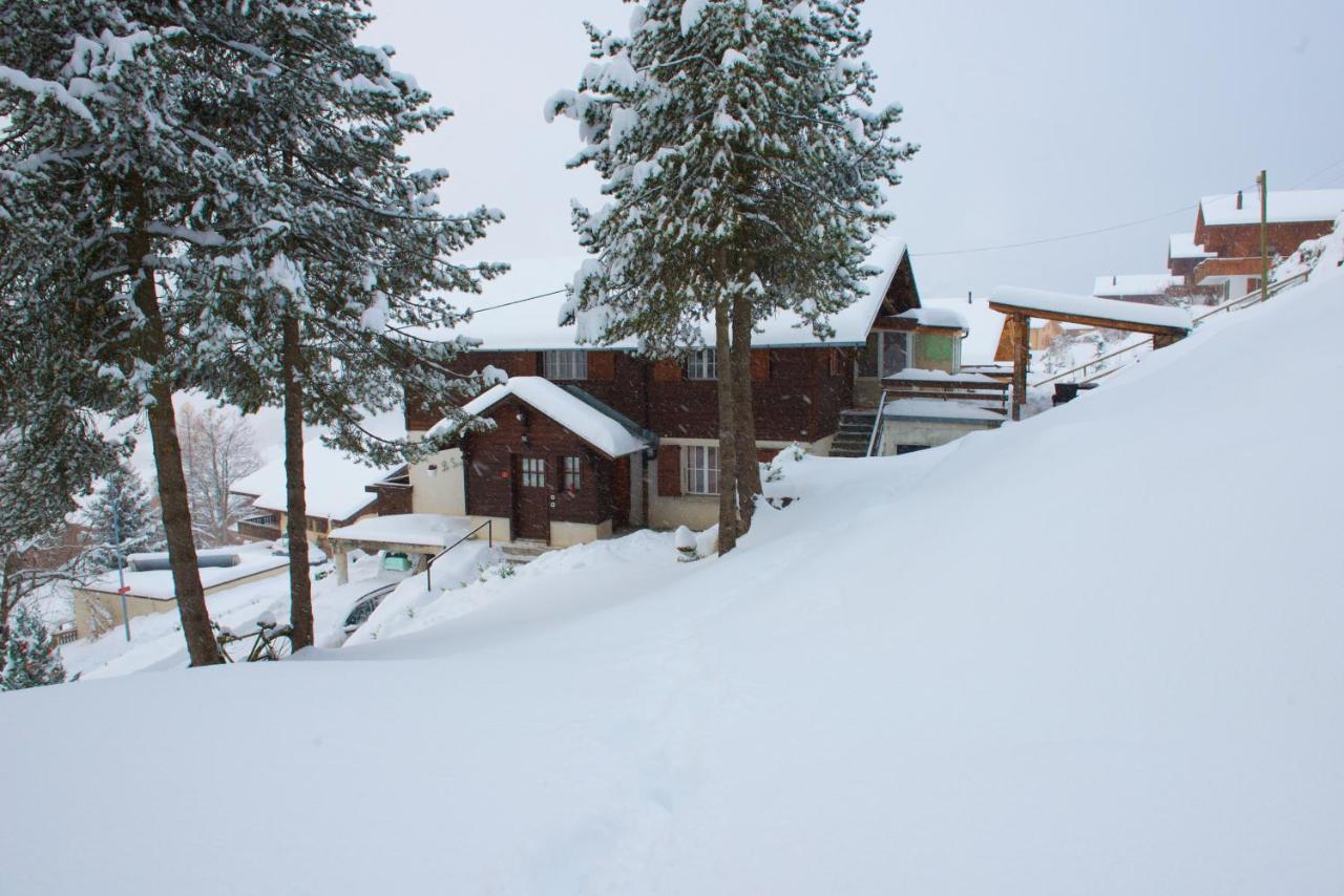 Studio Avec Sauna - 300M Des Pistes Leysin Exterior photo