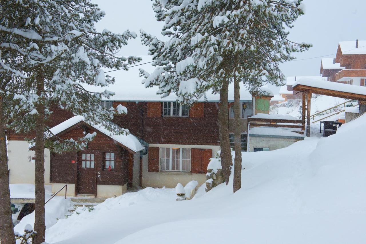 Studio Avec Sauna - 300M Des Pistes Leysin Exterior photo